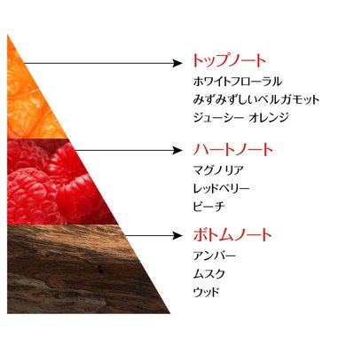 6941594581138 Bond Repair Shampoo Testimonial 04 231215